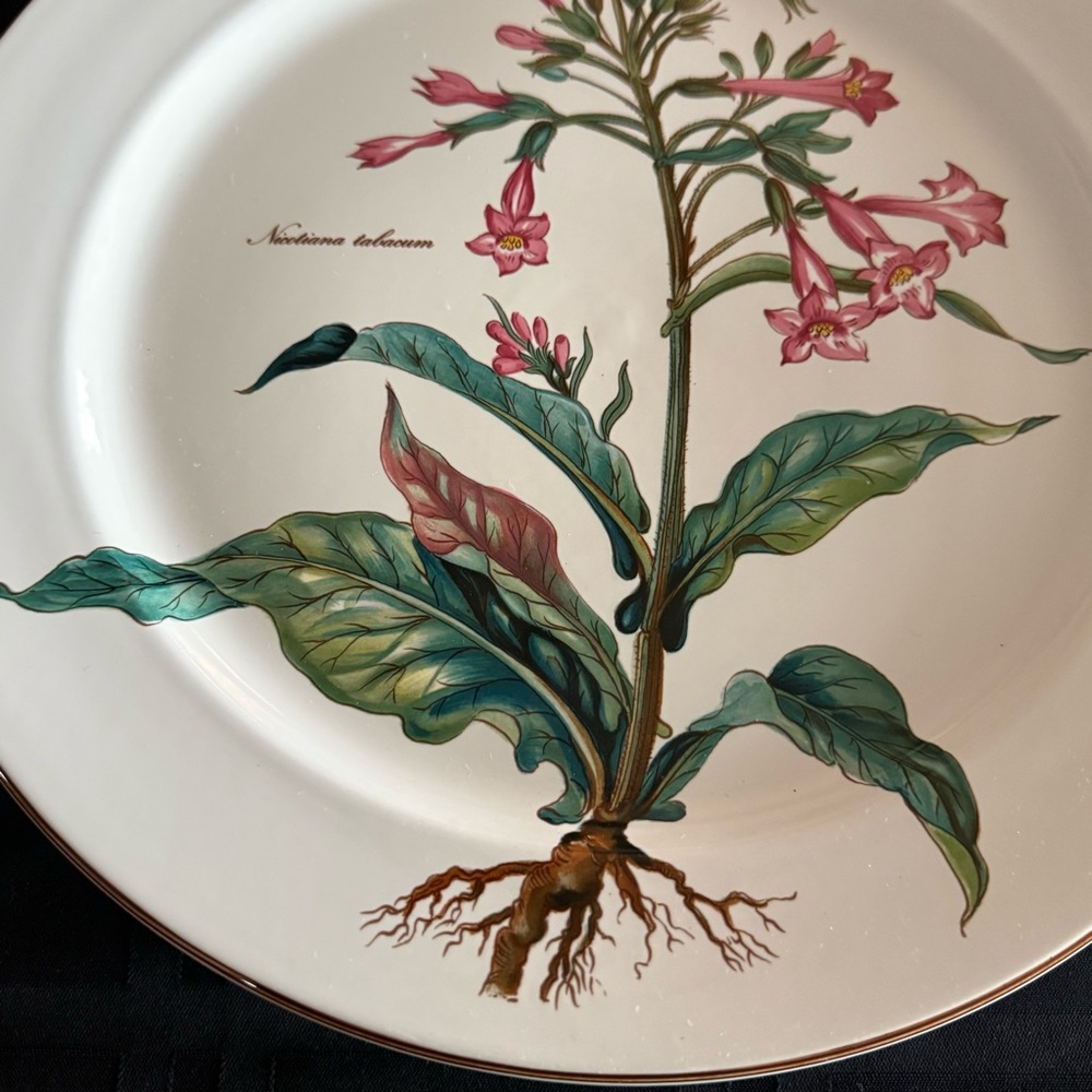 Villeroy & Boch Botanica Nicotiana Tabacum 12.25” Round Platter Vintage - Picture 3 of 9